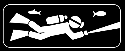 dive
