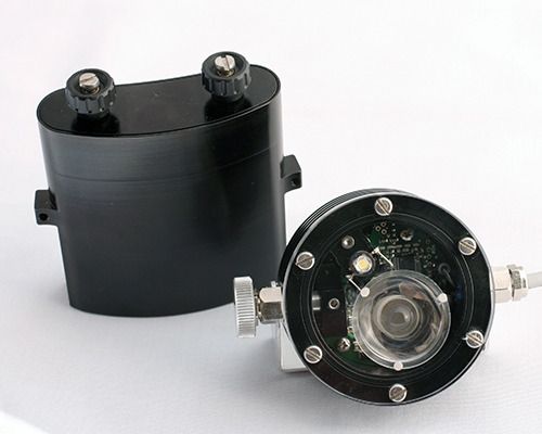 black 25