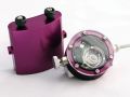 violet 31