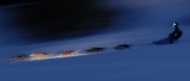 sled_klein
